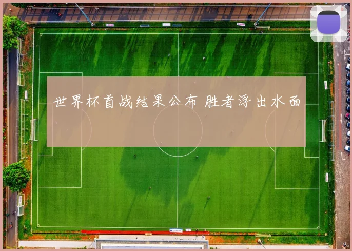 世界杯首战结果公布 胜者浮出水面