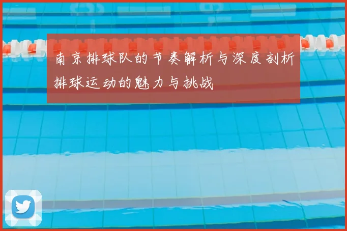 南京排球队的节奏解析与深度剖析排球运动的魅力与挑战