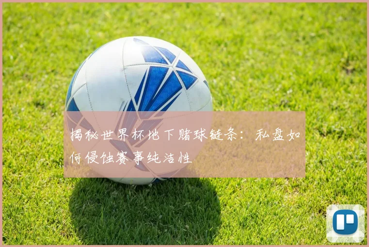 揭秘世界杯地下赌球链条：私盘如何侵蚀赛事纯洁性