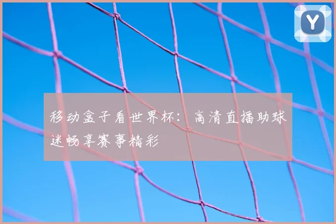 移动盒子看世界杯：高清直播助球迷畅享赛事精彩