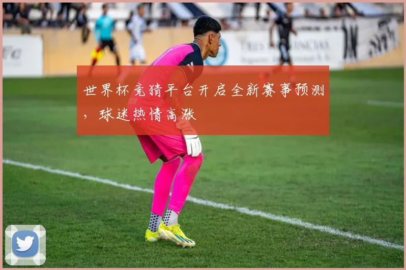世界杯竞猜平台开启全新赛事预测，球迷热情高涨