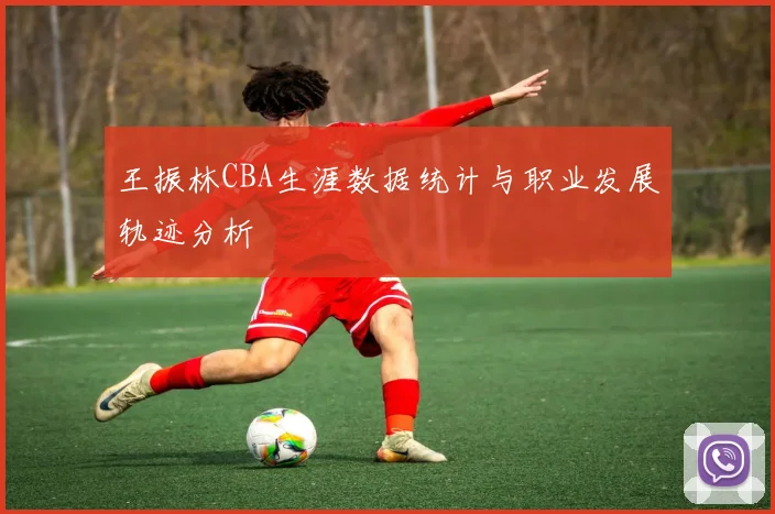 王振林CBA生涯数据统计与职业发展轨迹分析