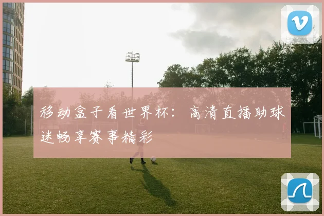 移动盒子看世界杯：高清直播助球迷畅享赛事精彩