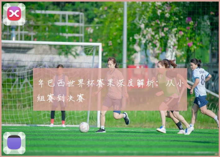 年巴西世界杯赛果深度解析：从小组赛到决赛