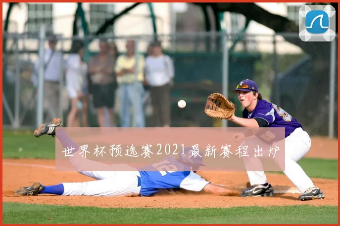 世界杯预选赛2021最新赛程出炉