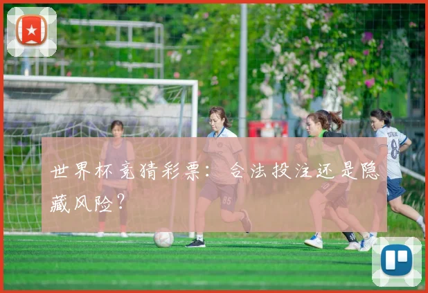 世界杯竞猜彩票：合法投注还是隐藏风险？