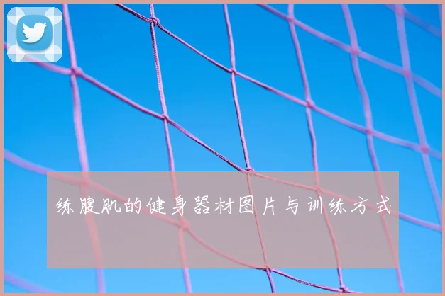 练腹肌的健身器材图片与训练方式