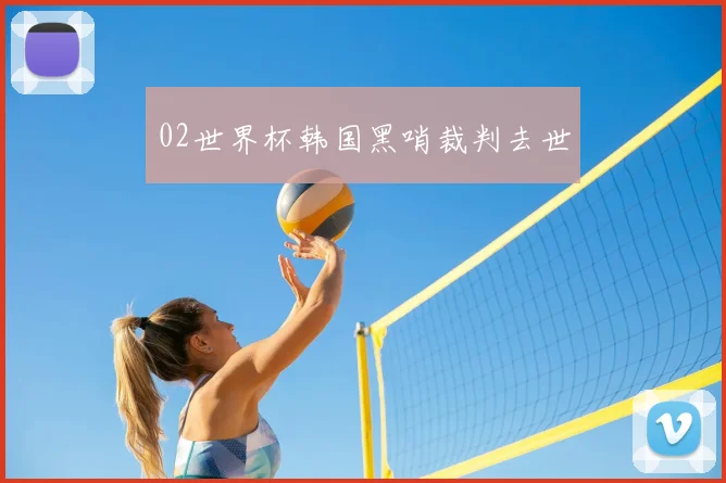 02世界杯韩国黑哨裁判去世