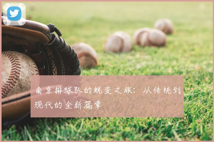 南京排球队的蜕变之旅：从传统到现代的全新篇章