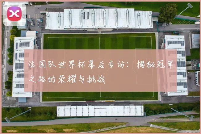 法国队世界杯幕后专访：揭秘冠军之路的荣耀与挑战