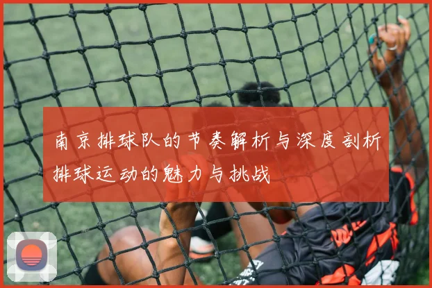 南京排球队的节奏解析与深度剖析排球运动的魅力与挑战