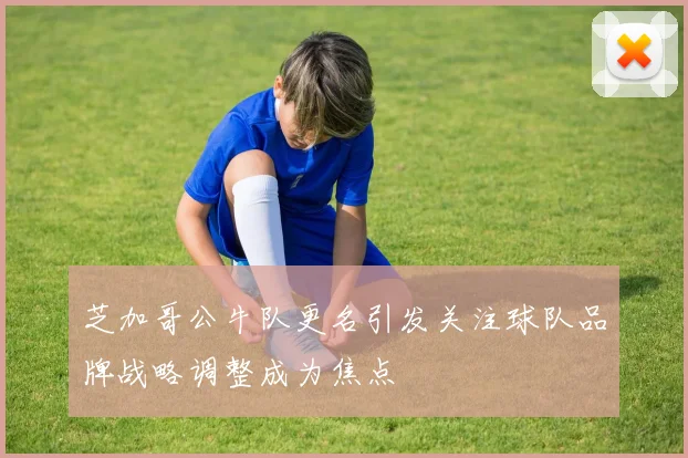芝加哥公牛队更名引发关注球队品牌战略调整成为焦点