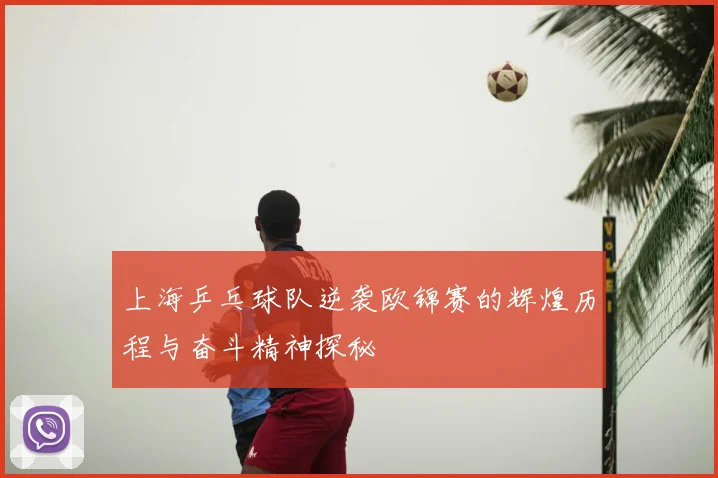 上海乒乓球队逆袭欧锦赛的辉煌历程与奋斗精神探秘